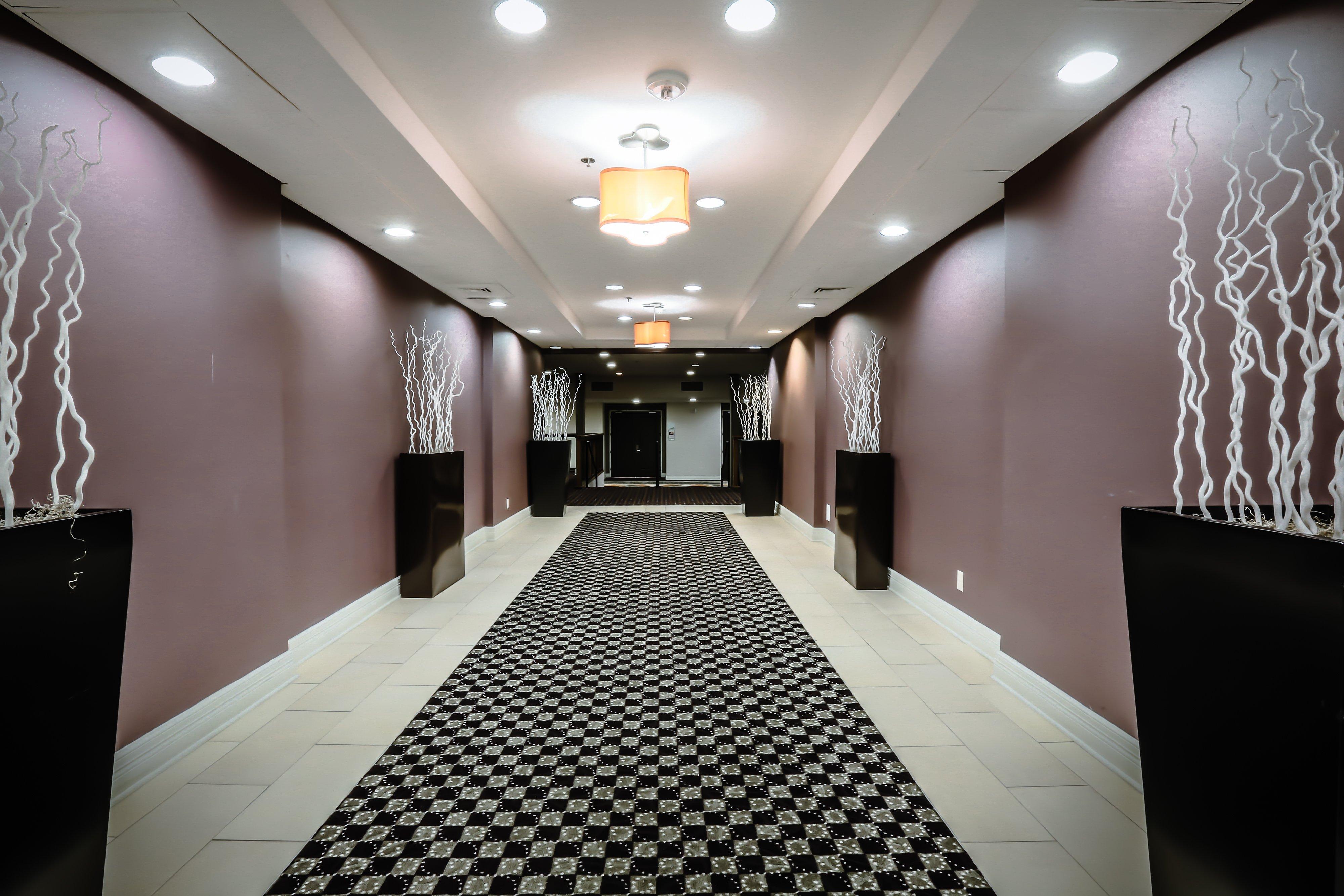 Holiday Inn Austin Midtown By Ihg Eksteriør billede